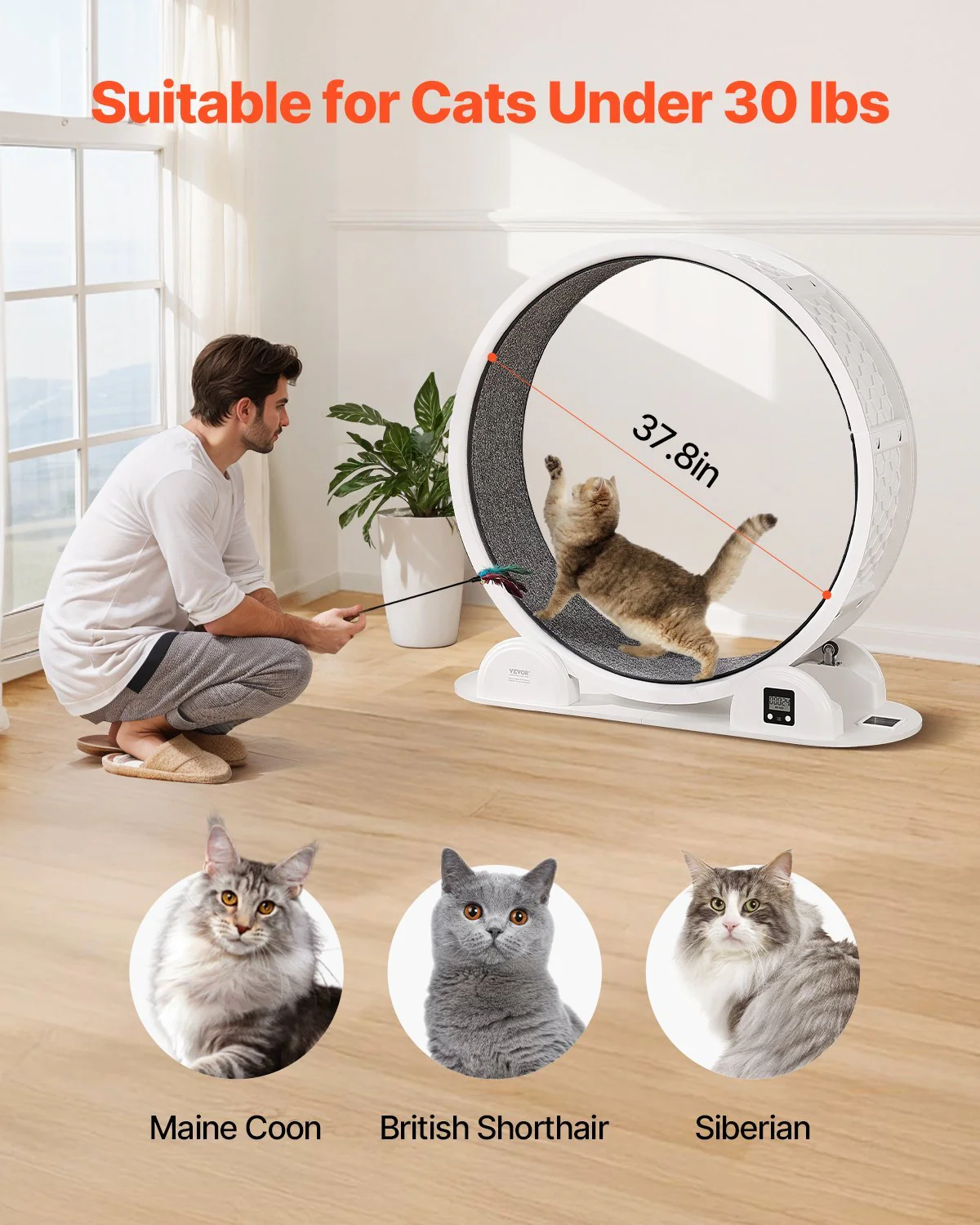 Cat Exercise Wheel - Image 11