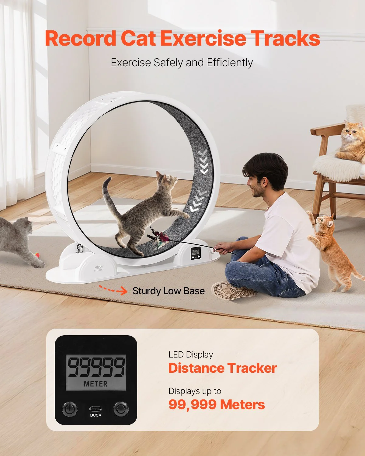 Cat Exercise Wheel - Image 8